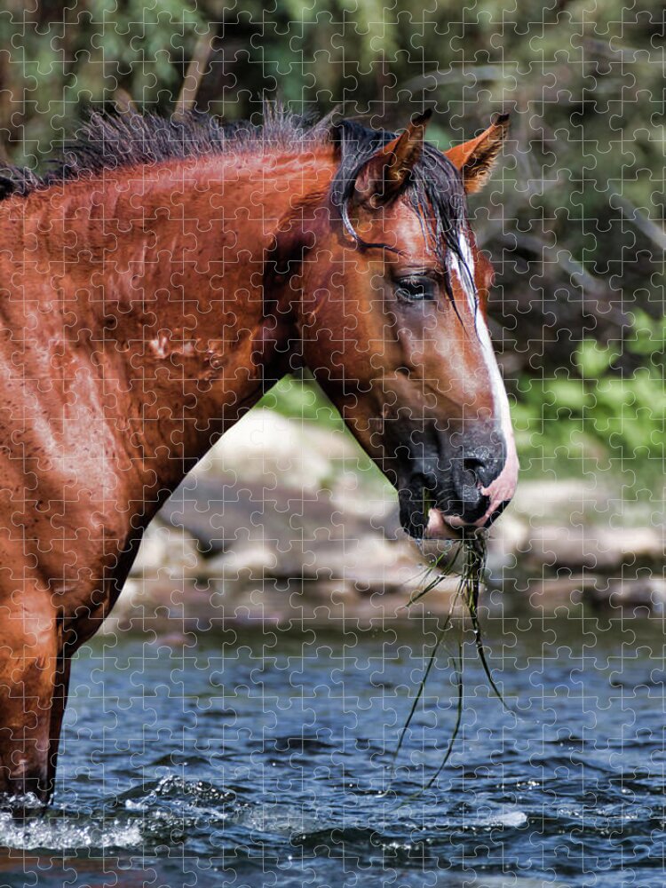 Wild Horses Jigsaw Puzzle featuring the photograph Grass Lunch by American Landscapes