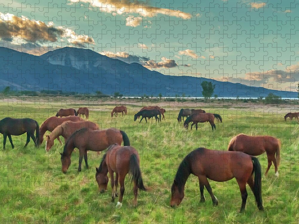Nevada Jigsaw Puzzle featuring the photograph Grazing on a Calm Evening by Marc Crumpler