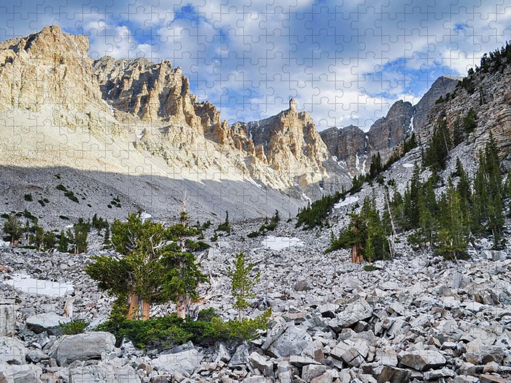 Great Basin National Park Jigsaw Puzzle featuring the photograph Great Basin National Park Landscape by Kyle Hanson