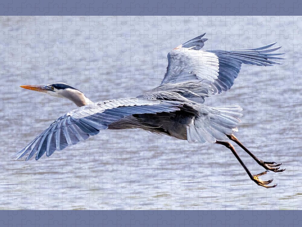Great Blue Heron Jigsaw Puzzle featuring the photograph Great Blue Heron #2 by Carla Brennan