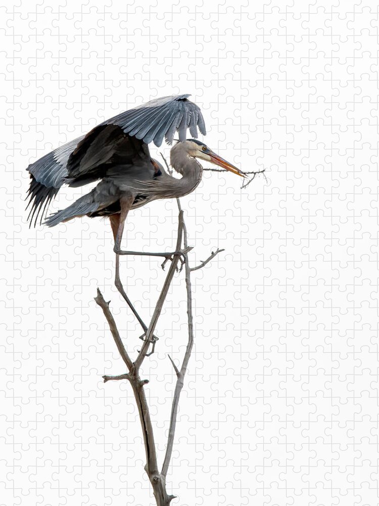 Stillwater Wildlife Refuge Jigsaw Puzzle featuring the photograph Great Blue Heron 8 by Rick Mosher