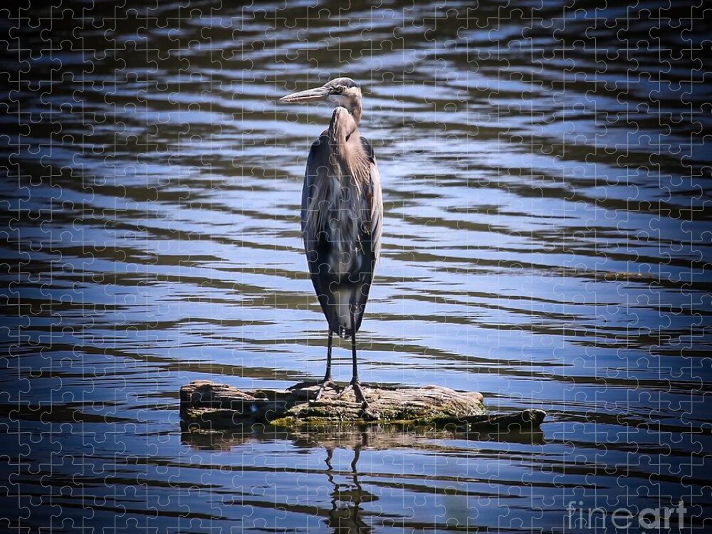 Heron Jigsaw Puzzle featuring the photograph Great Blue Heron by Veronica Batterson