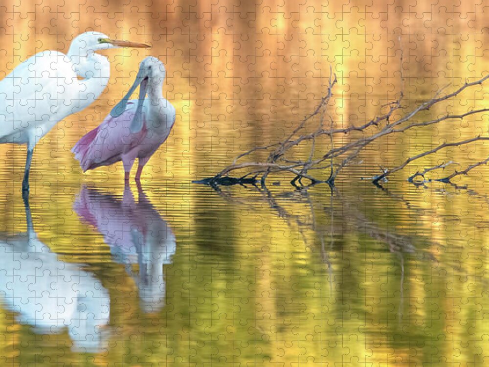 Great Egret Jigsaw Puzzle featuring the photograph Great Egret and Roseate Spoonbill 0912-110321-2 by Tam Ryan