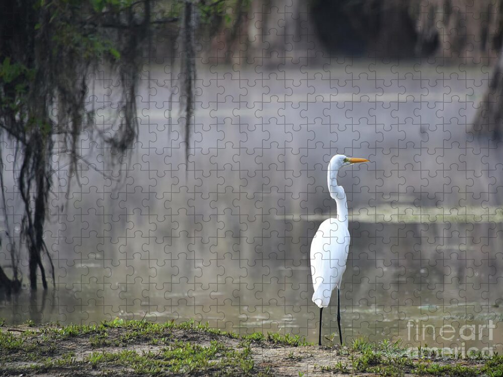 Great Egret Jigsaw Puzzle featuring the photograph Great egret by Andrea Anderegg