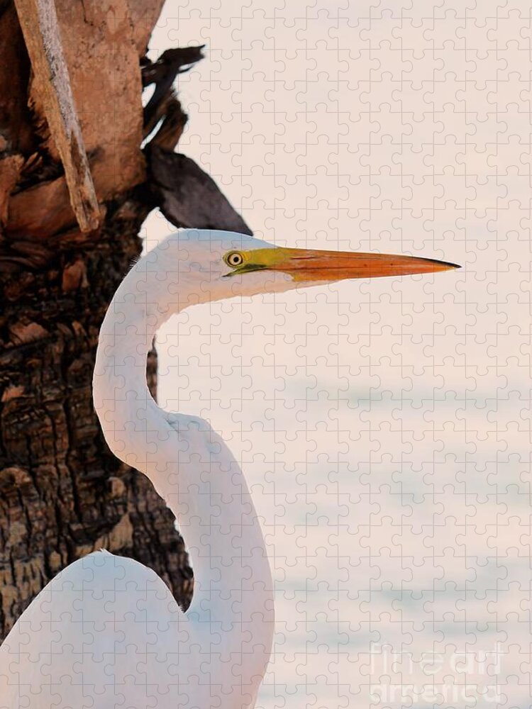 Great White Egret Jigsaw Puzzle featuring the photograph Great White Egret Standing by a Cabbage Palm Tree by Joanne Carey