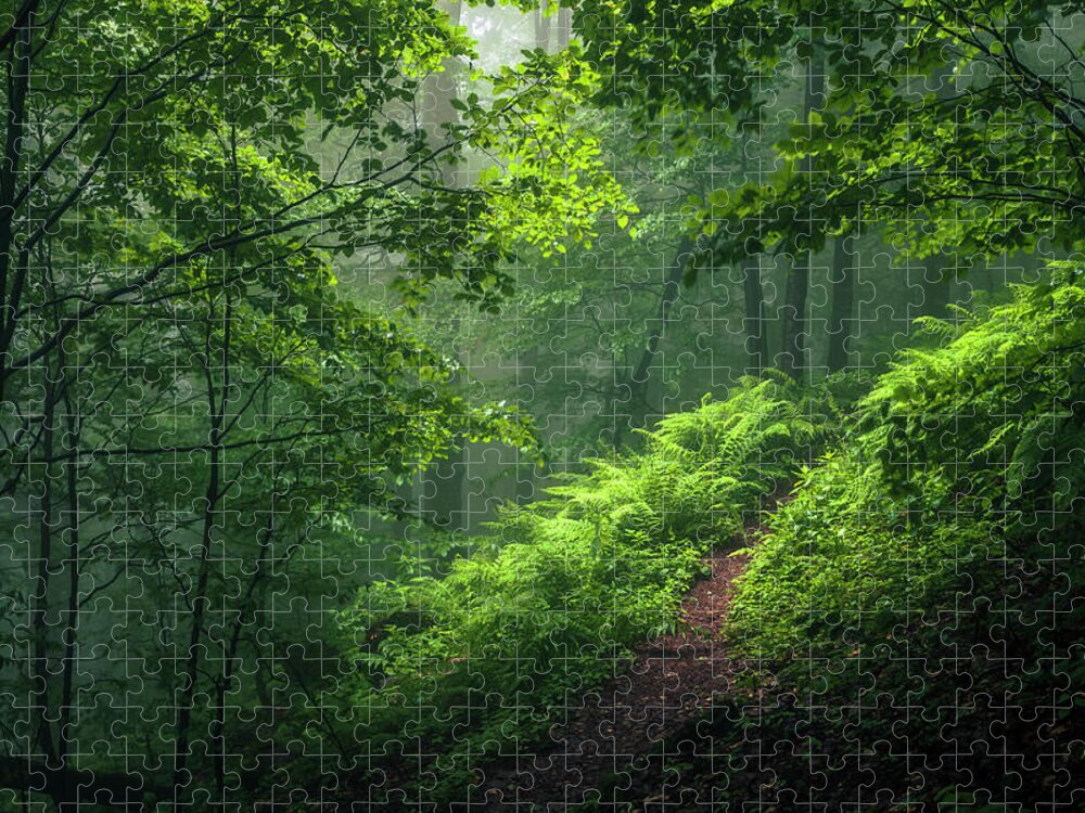 Mountain Jigsaw Puzzle featuring the photograph Green Forest by Evgeni Dinev
