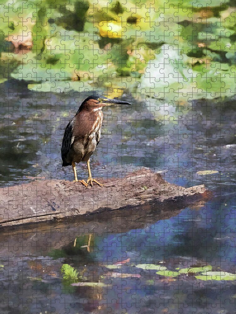 Green Heron Jigsaw Puzzle featuring the photograph Green Heron with a Painterly Background of Water Lilies by Belinda Greb
