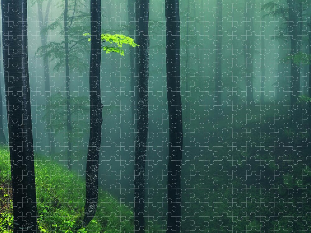 Balkan Mountains Jigsaw Puzzle featuring the photograph Green Mist by Evgeni Dinev