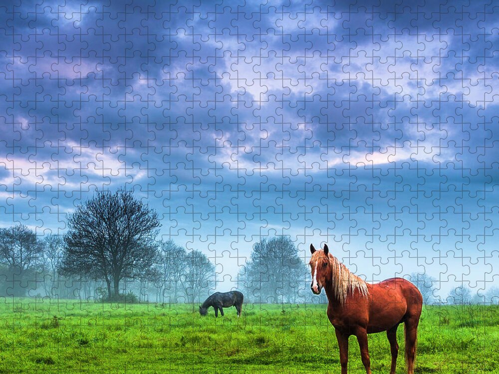 Fog Jigsaw Puzzle featuring the photograph Green Morn by Evgeni Dinev
