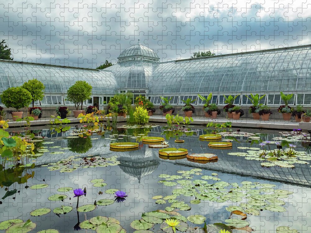 Lily Jigsaw Puzzle featuring the photograph Grey Sky Lily and Lotus Pond by Cate Franklyn
