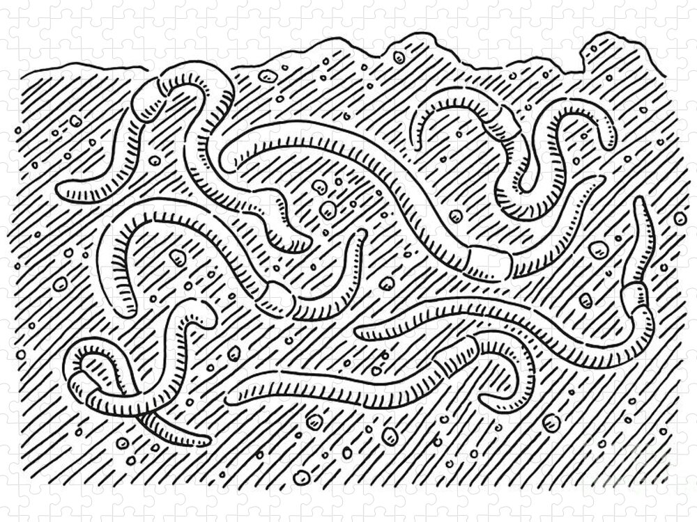 Group Of Earthworms Soil Drawing Jigsaw Puzzle by Frank Ramspott - Pixels