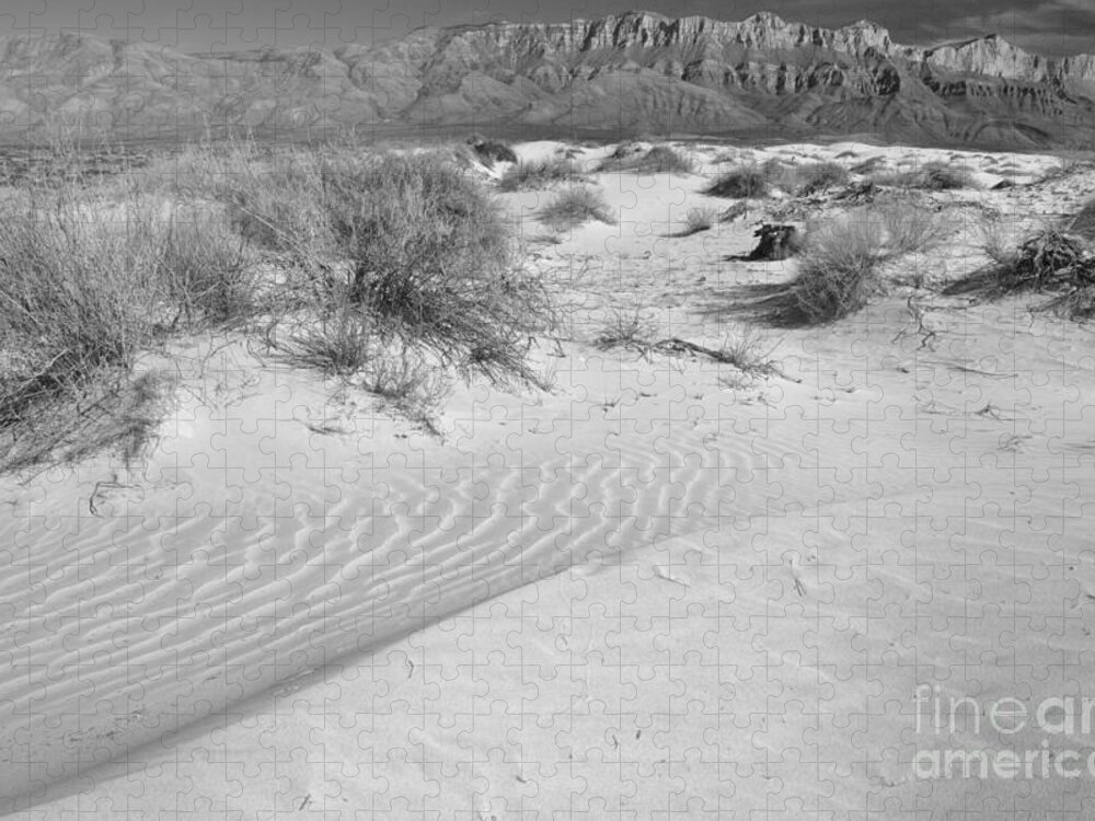 Guadalupe Jigsaw Puzzle featuring the photograph Guadalupe Gypsum Sand Dune Curves Black And White by Adam Jewell