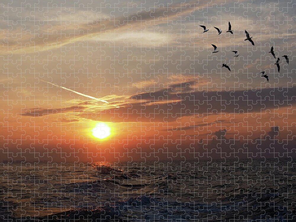 Birds Jigsaw Puzzle featuring the photograph Gulls in the Gulf by James C Richardson