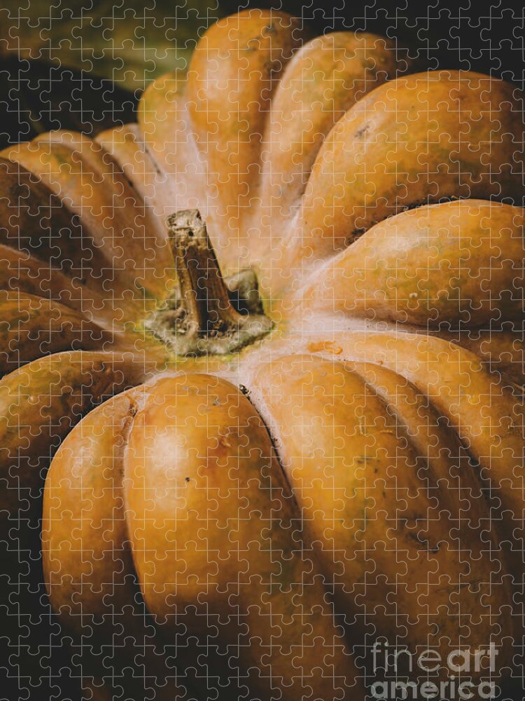 Halloween Jigsaw Puzzle featuring the photograph Halloween pumpkin close up by Jelena Jovanovic