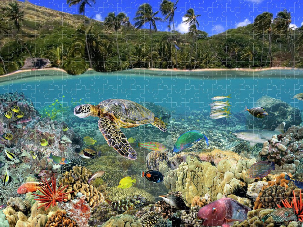 Ocean Jigsaw Puzzle featuring the photograph Hanauma Bay by Artesub
