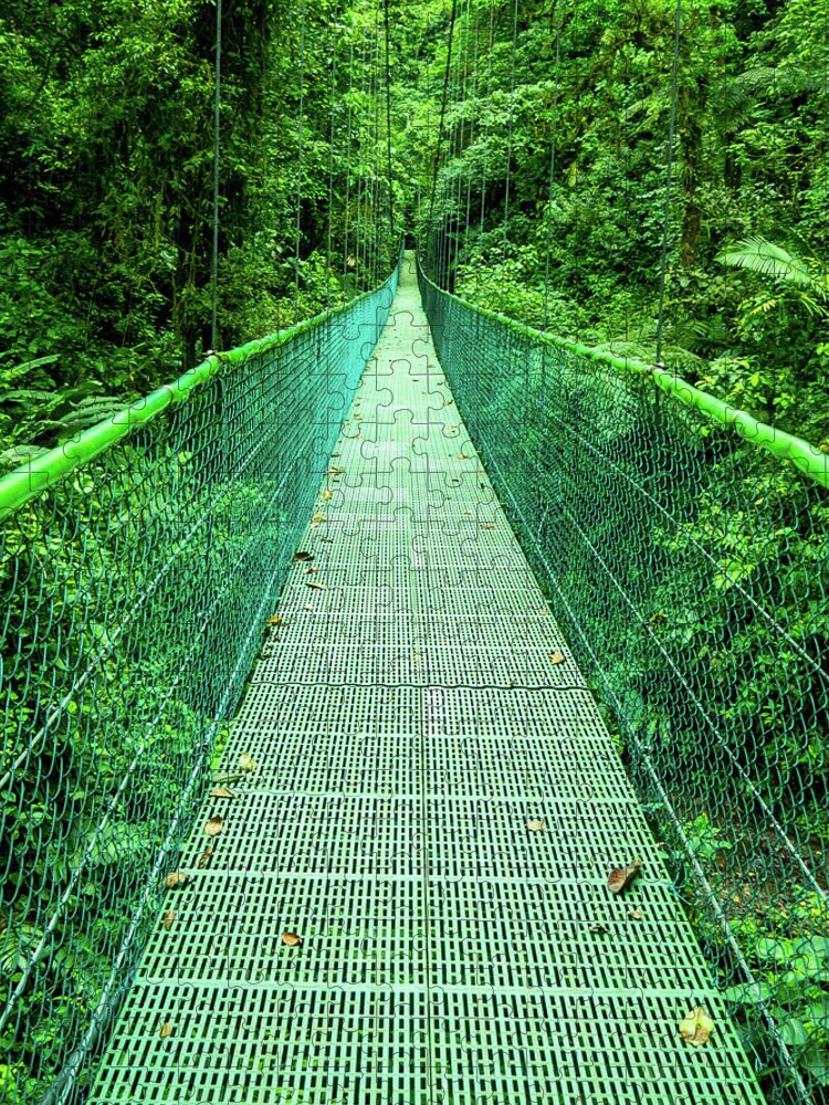 Hanging Bridge Jigsaw Puzzle featuring the photograph Hanging Bridge in Cloud Forest in Monte Verde Costa Rica by Leslie Struxness