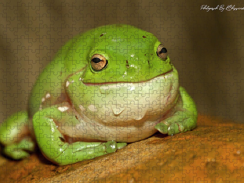 Happy Frog Jigsaw Puzzle featuring the digital art Happy frog 663 by Kevin Chippindall