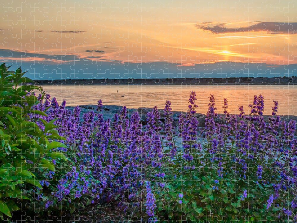 Oswego Sunset Jigsaw Puzzle featuring the photograph Harbor Walk Sunset by Rod Best