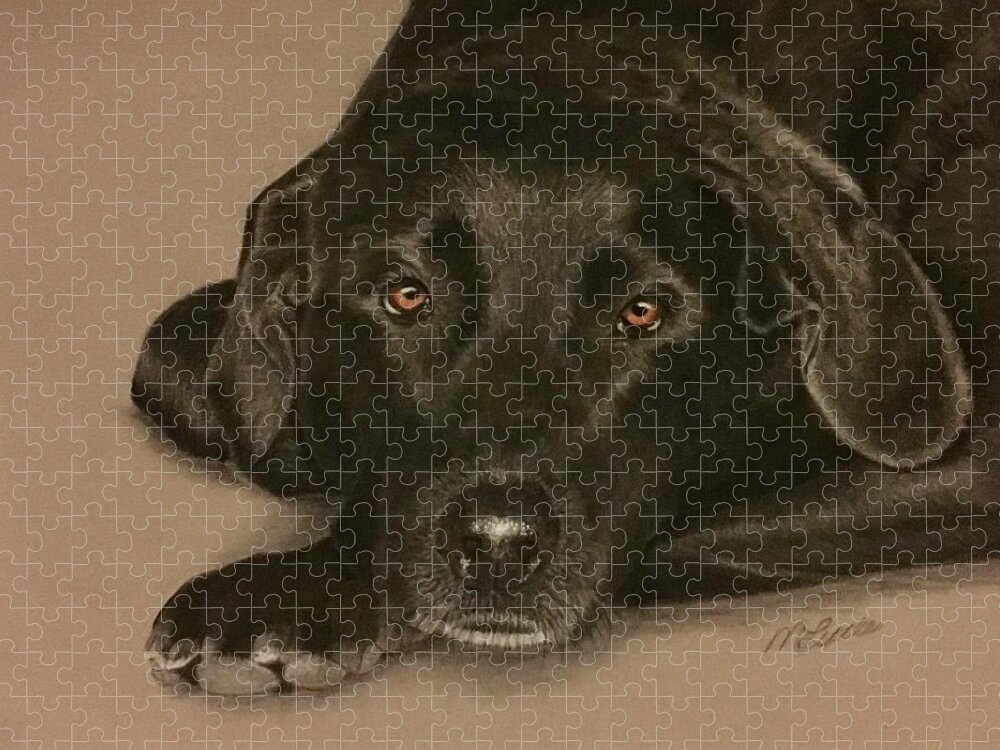 Black Lab Jigsaw Puzzle featuring the drawing Harley by Marlene Little