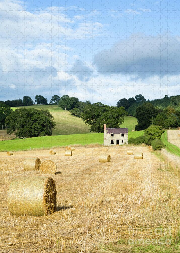 Hay Bales In A Field Uk Puzzle For Sale By Paul Maguire