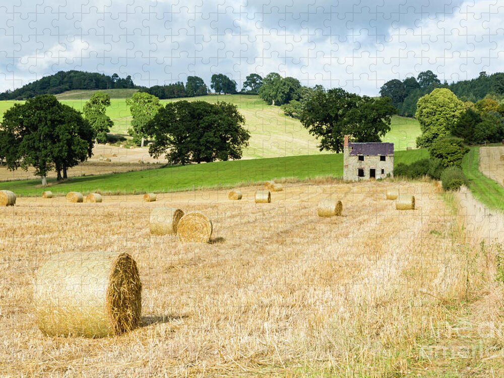 Hay Bales In English Farmland Uk Puzzle For Sale By Paul Maguire