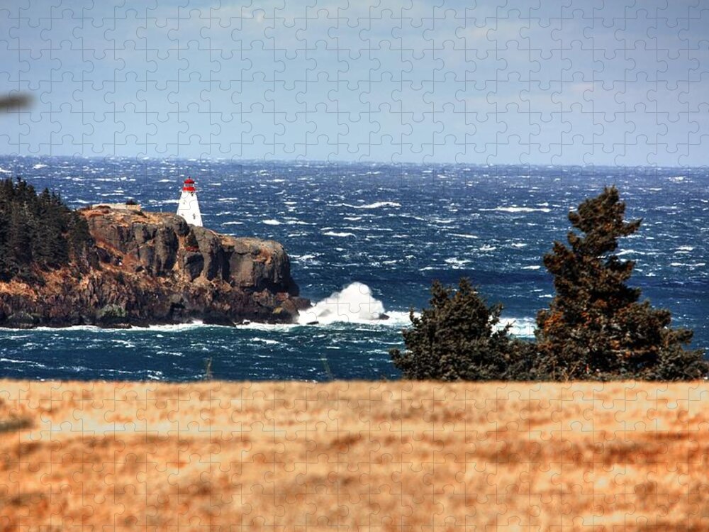 Boars Head Lighthouse The Bay Of Fundy Storm Gale Sea Ocean Waves Rocks Windy Waves Rough Petit Passage Ferry Jigsaw Puzzle featuring the photograph Head Land by David Matthews