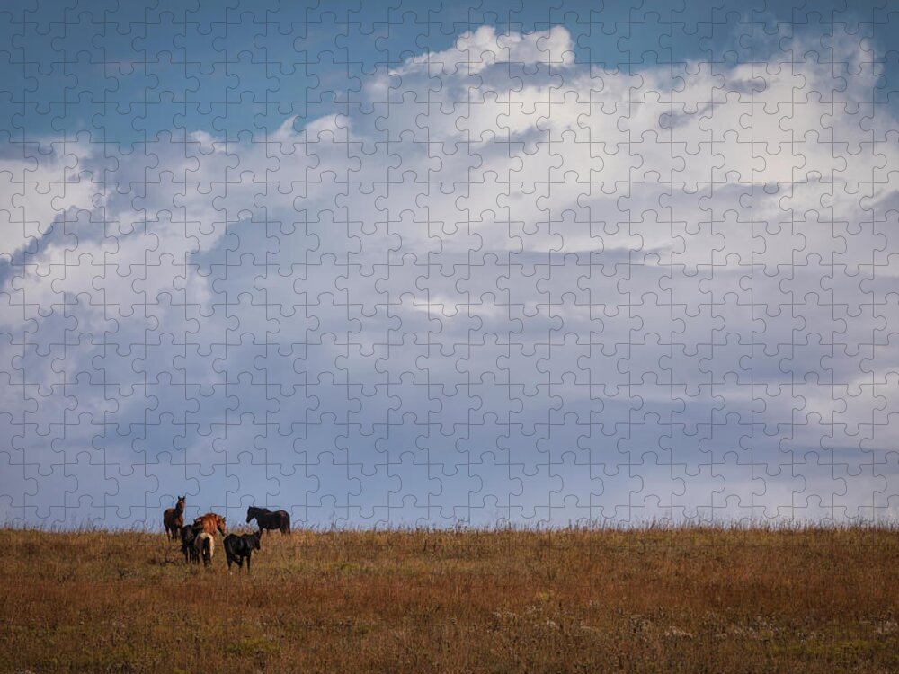 Fine Art America Jigsaw Puzzle featuring the photograph Headed Over the Horizon by Scott Bean