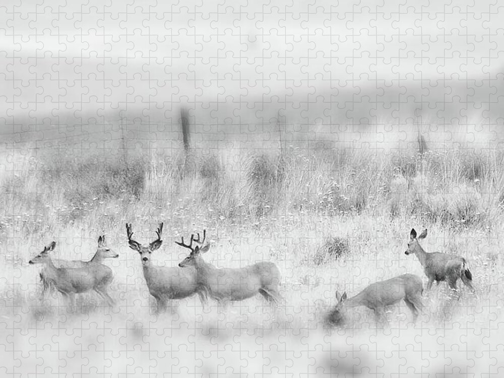  Jigsaw Puzzle featuring the digital art Herd of Deer B/W Tilt-Shift by Fred Loring
