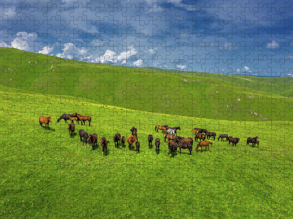 Horse Jigsaw Puzzle featuring the photograph Herd Of Horses Grazing On Slope Meadow by Mikhail Kokhanchikov