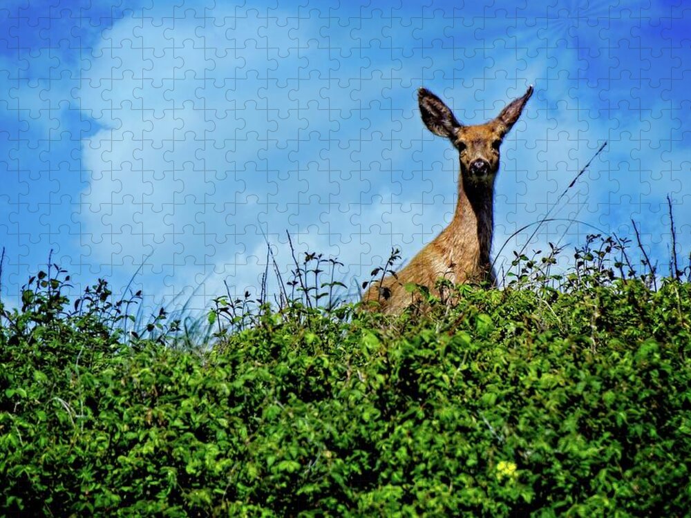 Alone Jigsaw Puzzle featuring the digital art Here's Looking At You Dear by David Desautel