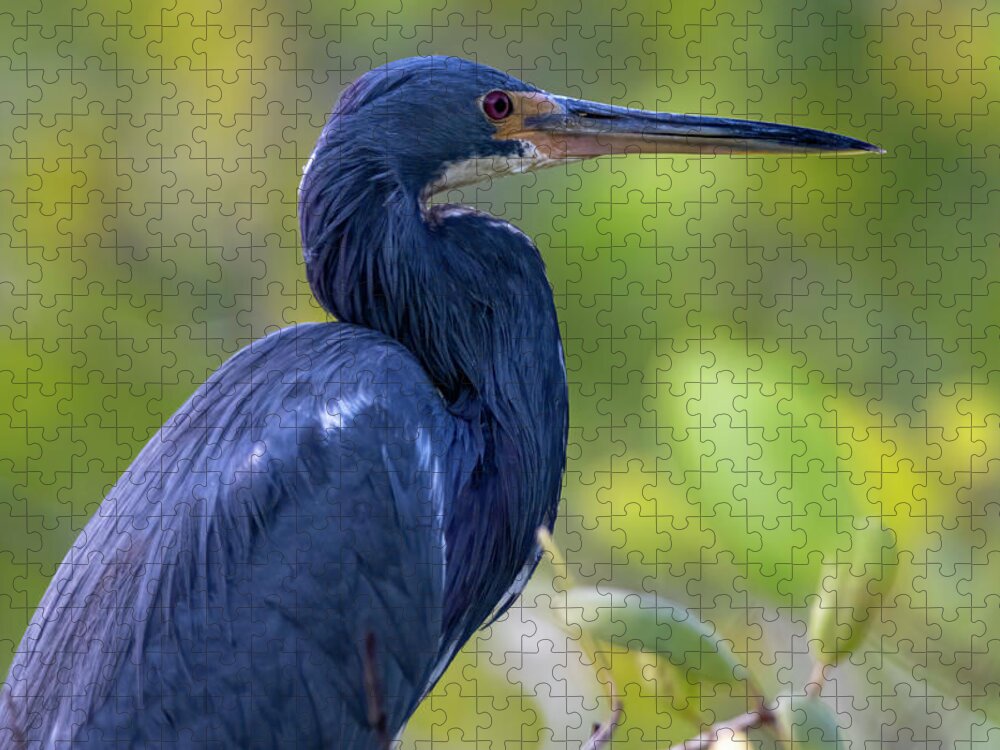 Heron Jigsaw Puzzle featuring the photograph Heron Blues by Mary Buck