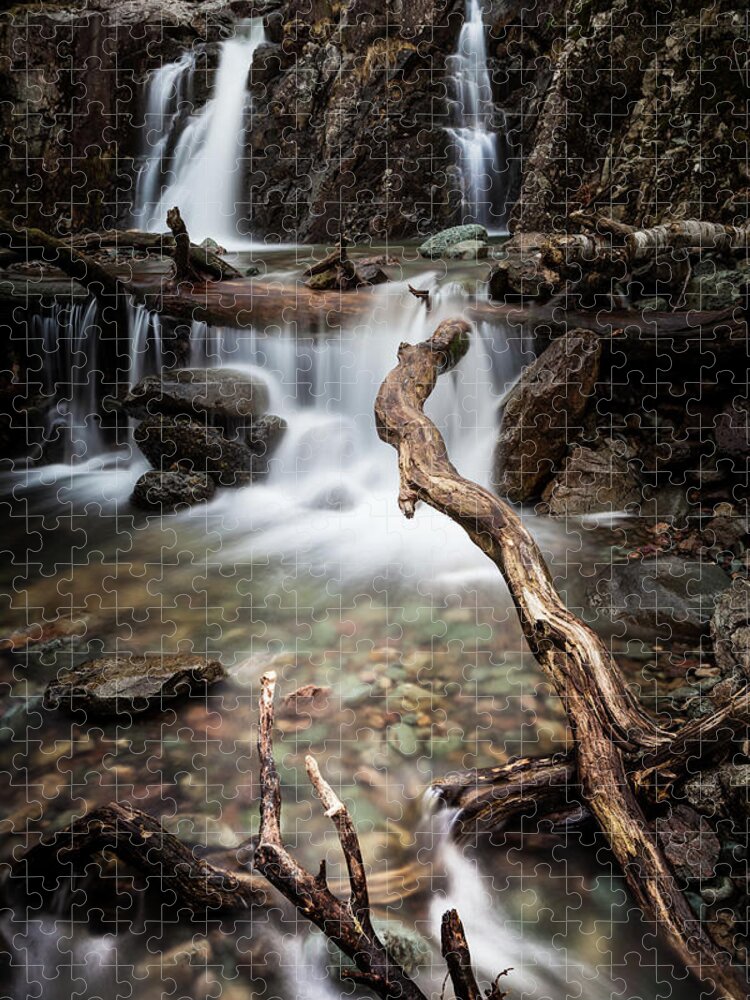 Waterfall Jigsaw Puzzle featuring the photograph Hidden Waterfall by Anita Nicholson