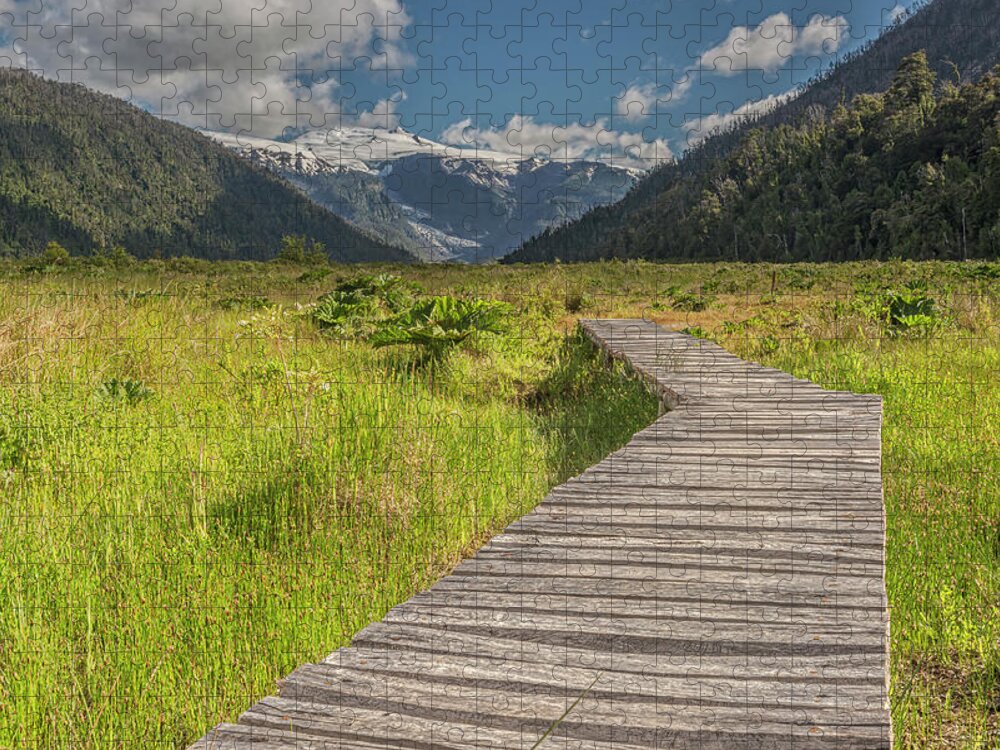 Chile Jigsaw Puzzle featuring the photograph Hiking path to the Michinmahuida glacier by Henri Leduc