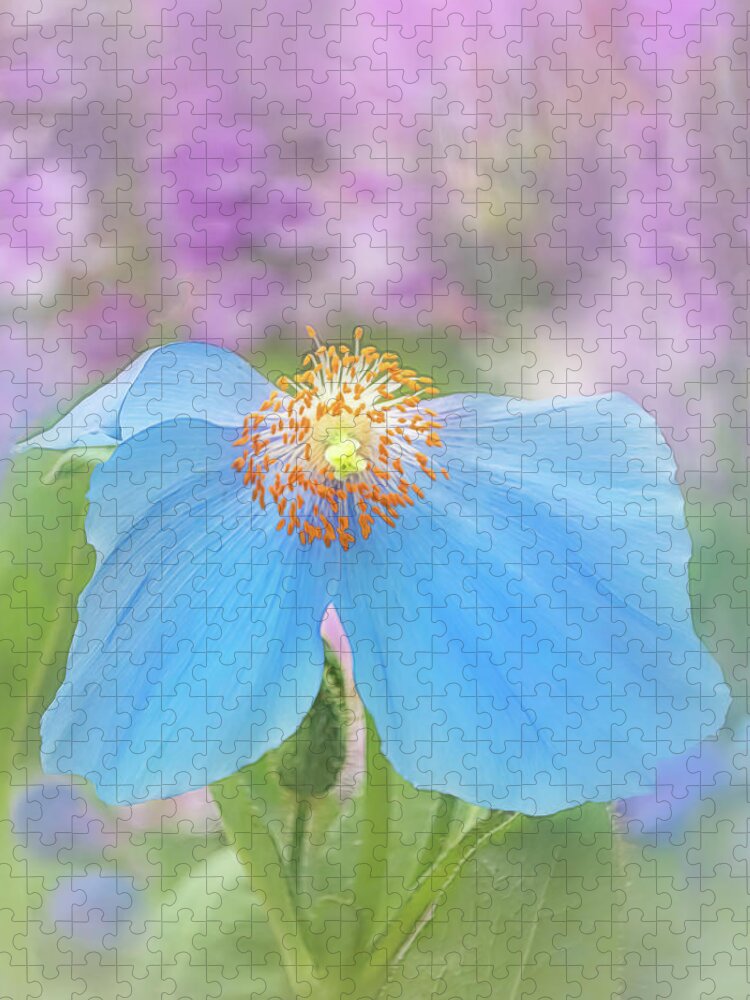 Poppy Jigsaw Puzzle featuring the photograph Himalayan Blue Poppy - In The Garden by Sylvia Goldkranz