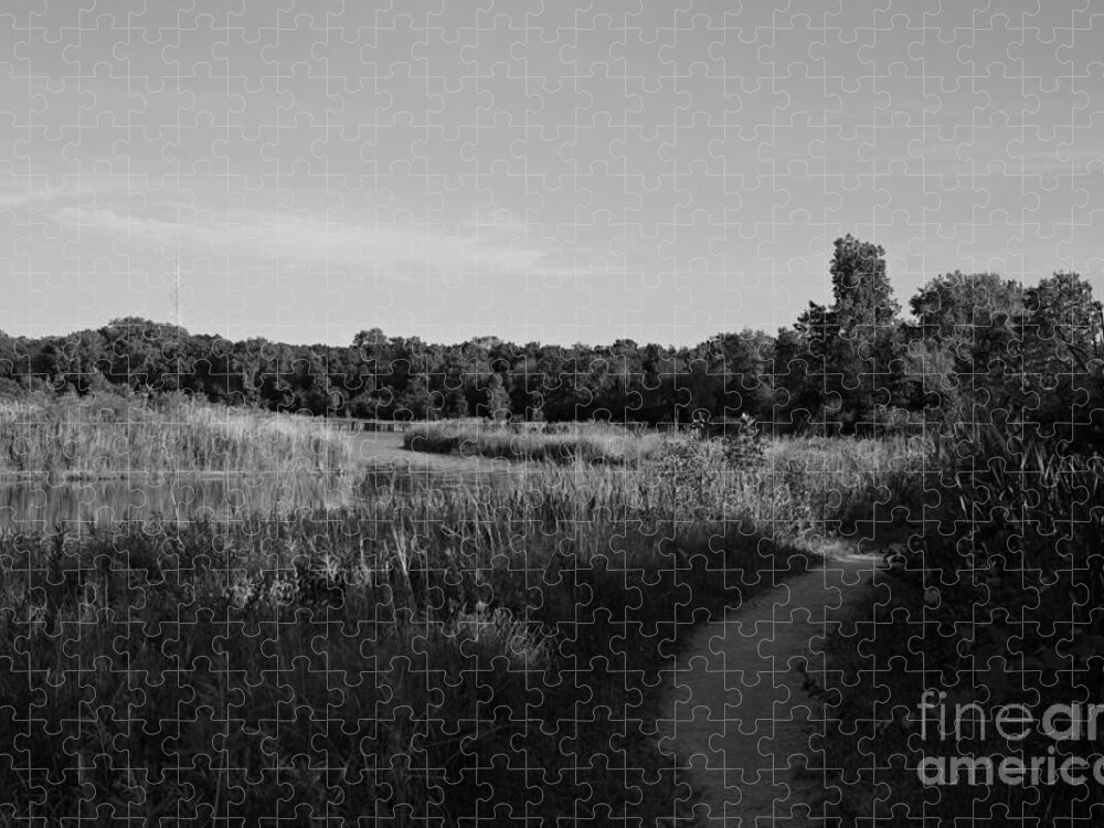 Nature Jigsaw Puzzle featuring the photograph Homewood Izaak Walton Prairie Lake - Black and White by Frank J Casella