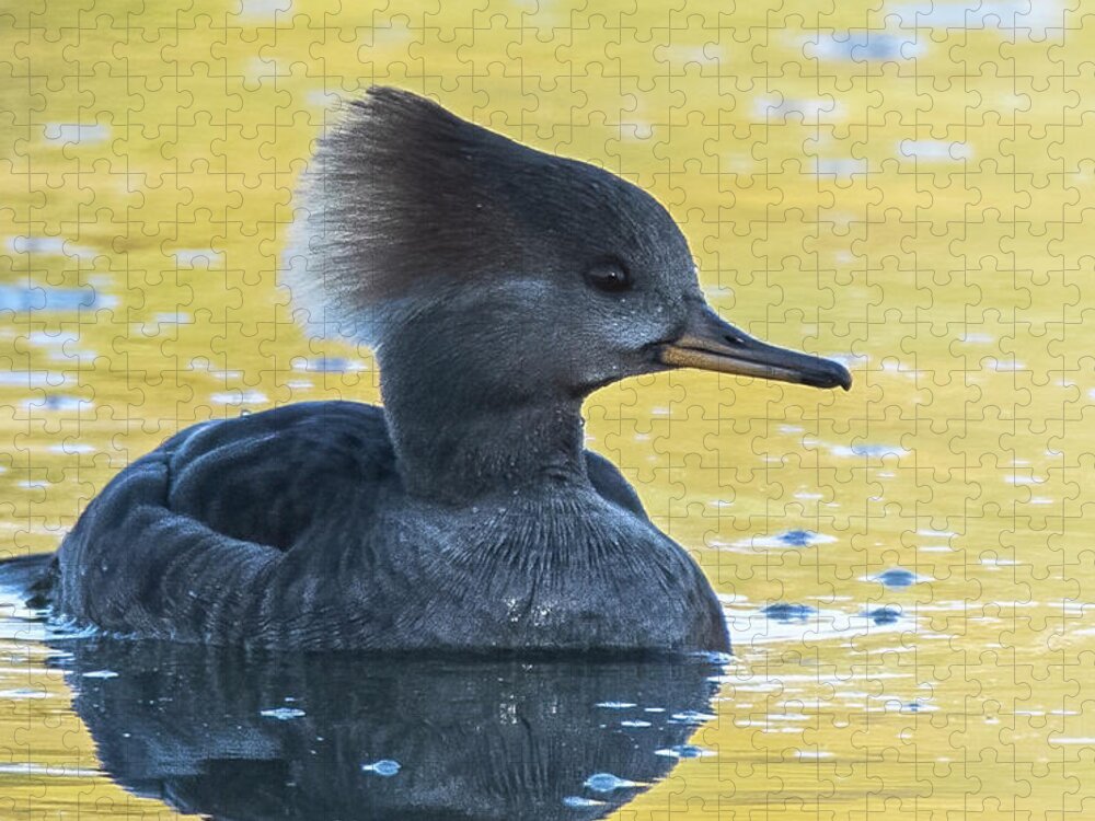 Hooded Merganser Jigsaw Puzzle featuring the photograph Hooded Merganser 9719-010722-2 by Tam Ryan