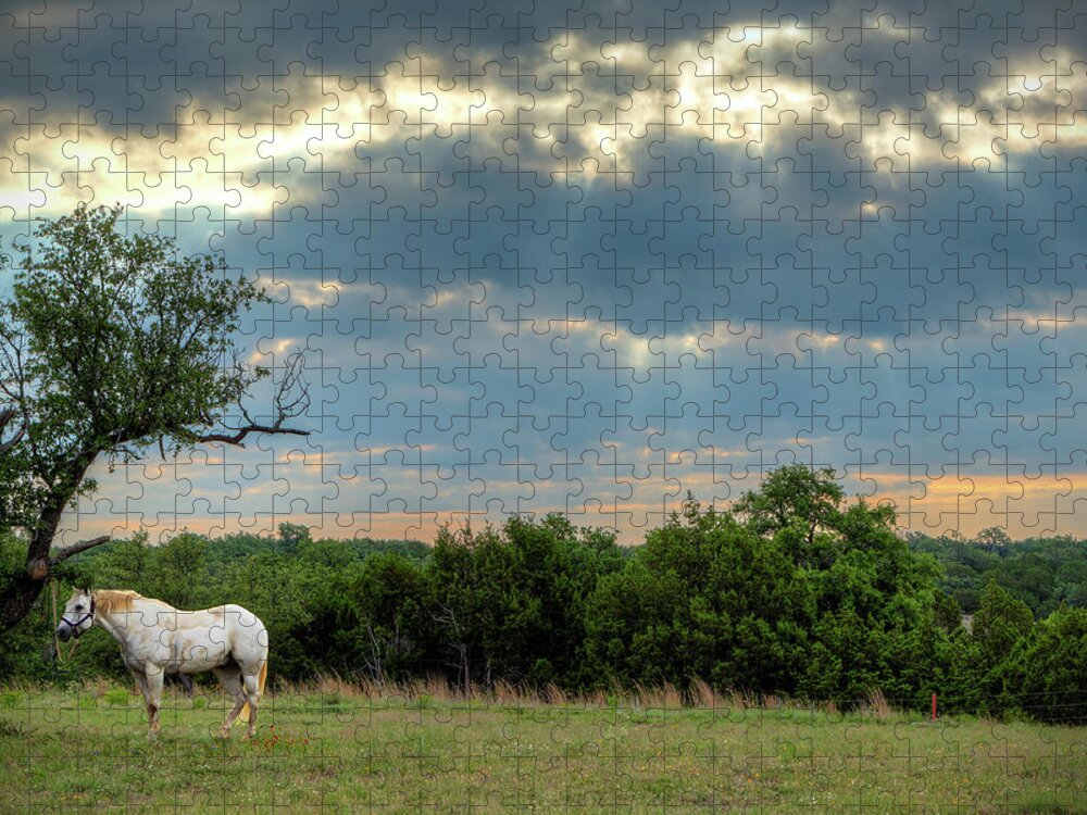 Horse Jigsaw Puzzle featuring the photograph Horse and Lightrays by HawkEye Media