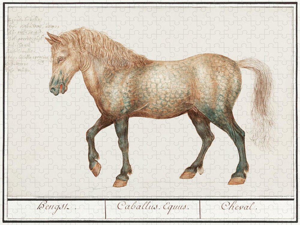 Old Painting Of A Horse Jigsaw Puzzle featuring the mixed media Horse by World Art Collective
