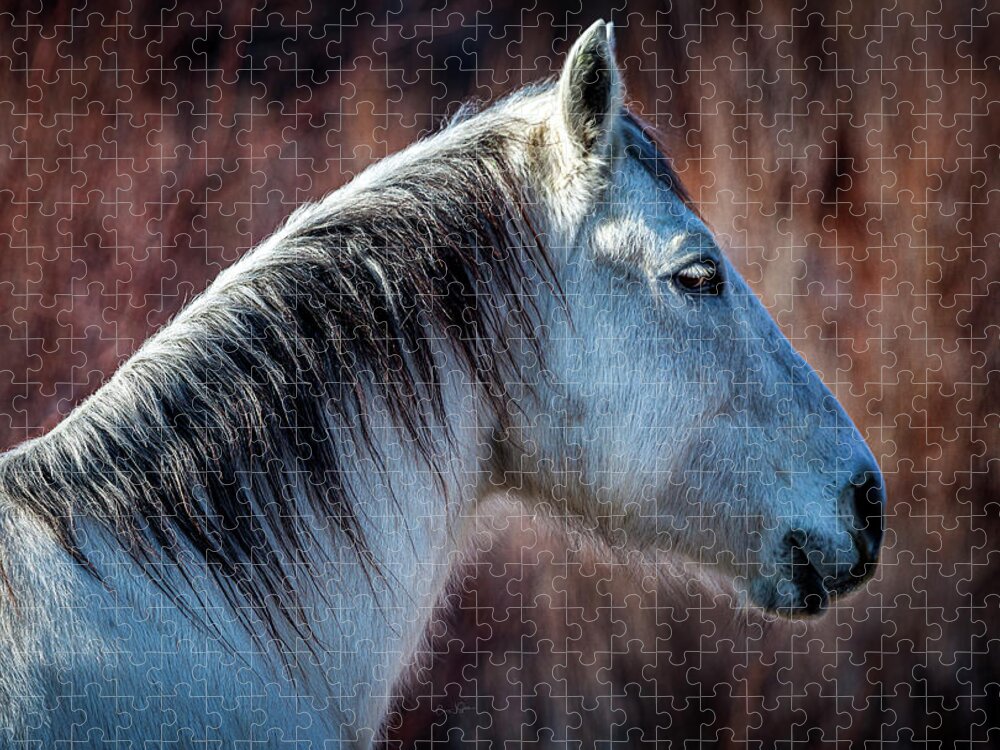 Horse Jigsaw Puzzle featuring the photograph Horse No. 4 by Craig J Satterlee