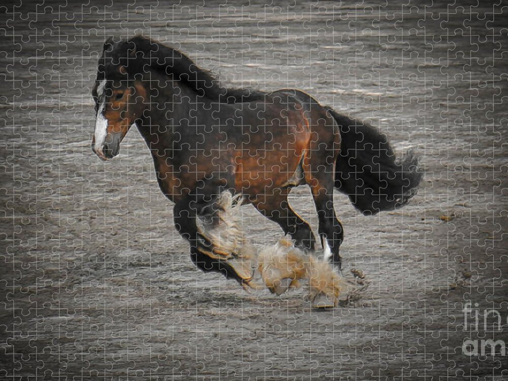 Horse Jigsaw Puzzle featuring the photograph Horse Show Germantown Tennessee III by Veronica Batterson