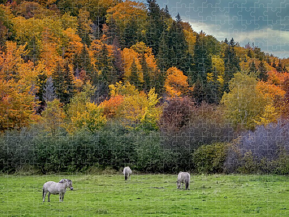 Animals Jigsaw Puzzle featuring the digital art Horses on an Autumn Day in Rural Cape Breton by Ken Morris