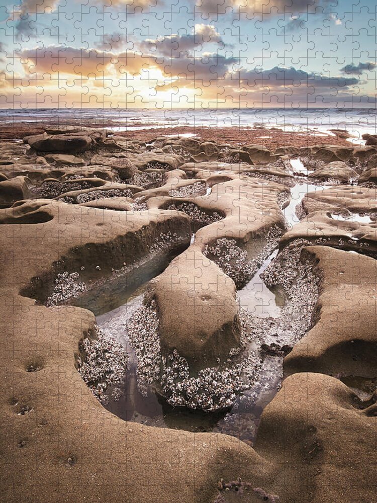 Beautiful Jigsaw Puzzle featuring the photograph Hospitals Reef La Jolla by Gary Geddes