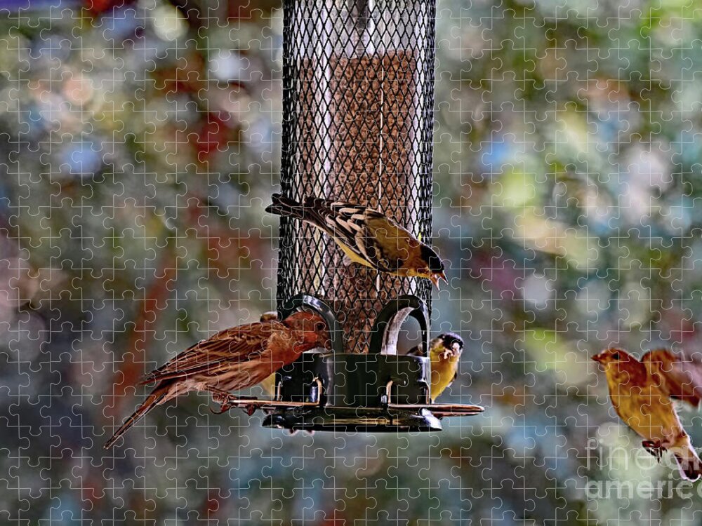 Finch Jigsaw Puzzle featuring the photograph House Finch and Lesser Goldfinch by Amazing Action Photo Video