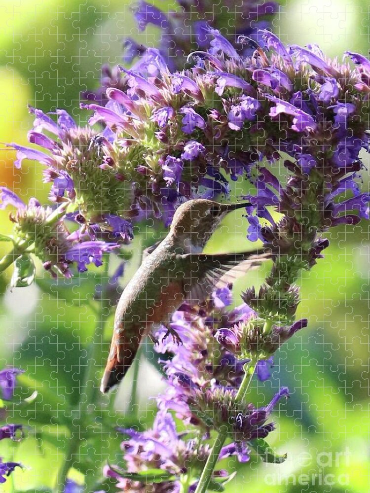 Hummingbird Mint Jigsaw Puzzle featuring the photograph Hummingbird Fancy by Carol Groenen