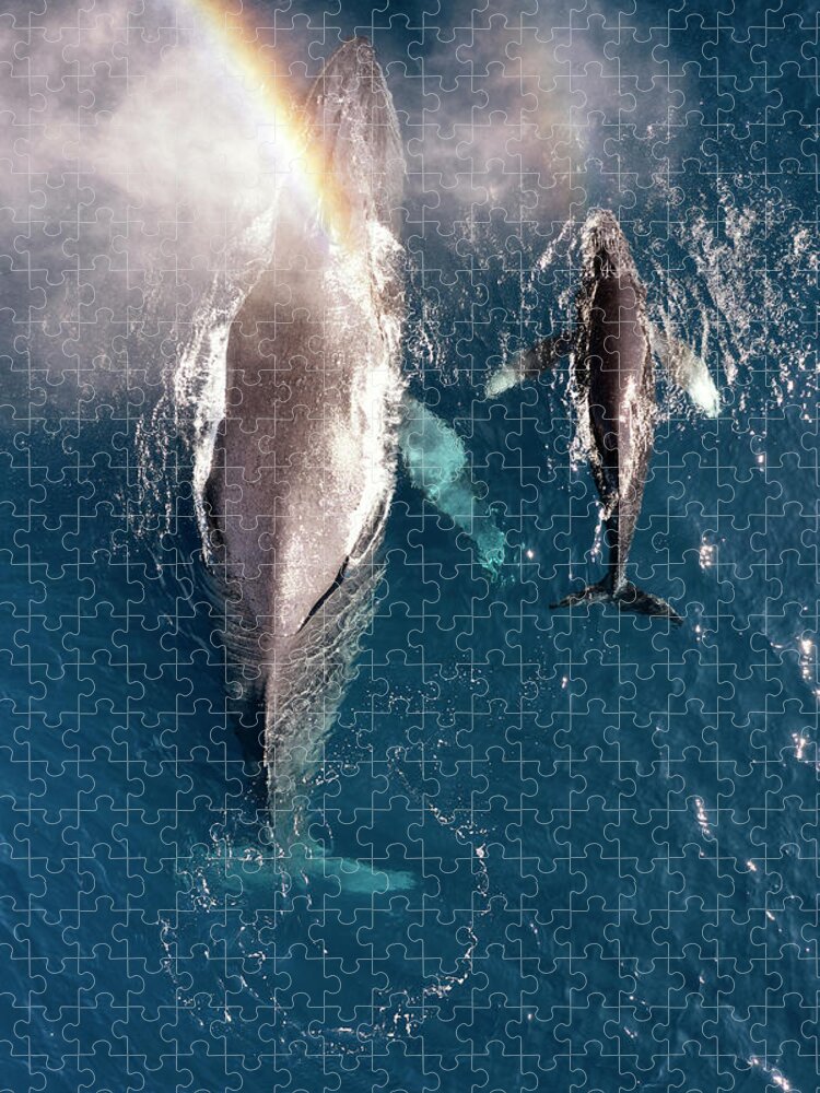 Humpback Jigsaw Puzzle featuring the photograph Humpback Spout Rainbow by Christopher Johnson