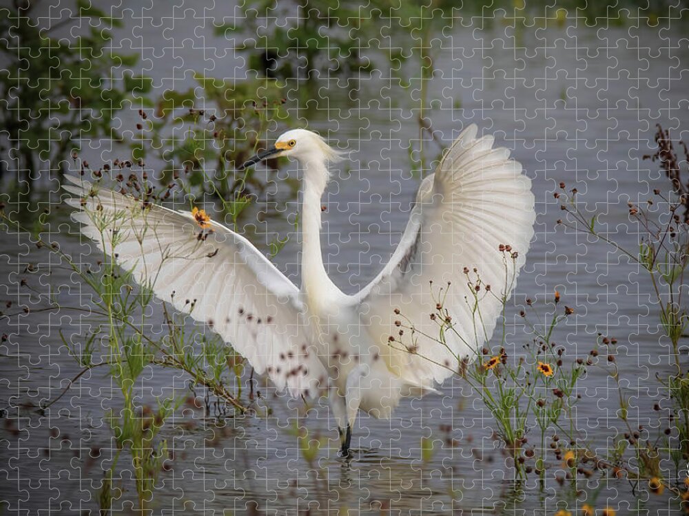 Wings Jigsaw Puzzle featuring the photograph I Am Fabulous by Pam Rendall