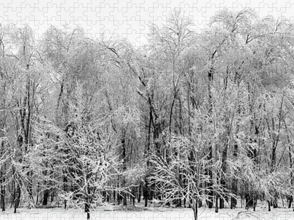 Trees Jigsaw Puzzle featuring the photograph Ice Covered Trees, Eaton Rapids by Edward Shotwell