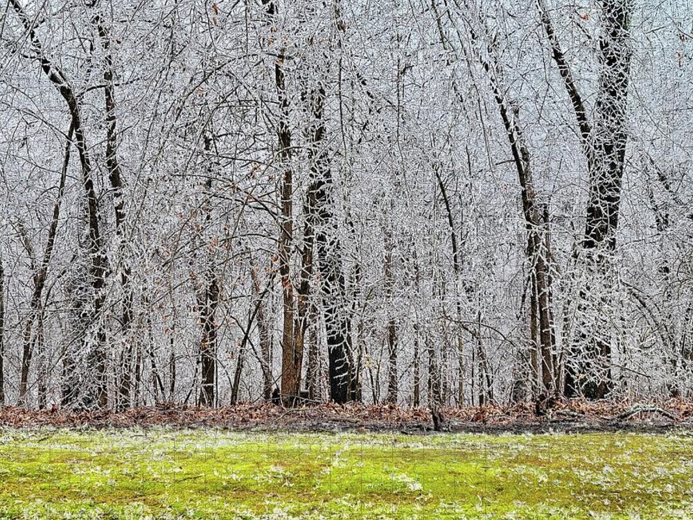 Ice Jigsaw Puzzle featuring the photograph Ice in Arkansas 2/24/22 by Ally White