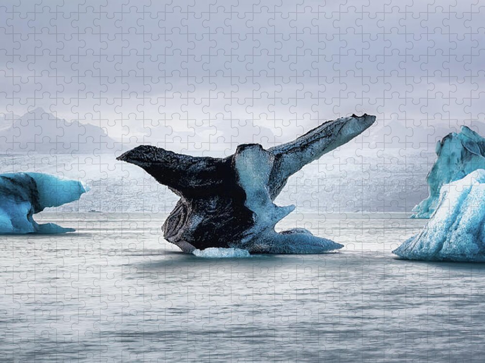 Breiðamerkurjökull Jigsaw Puzzle featuring the photograph Icebird by Dee Potter