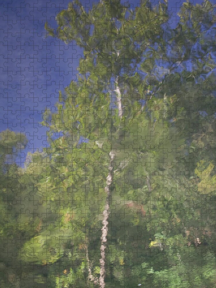 Impressionist Flint Jigsaw Puzzle featuring the photograph Impressionist Flint by Dylan Punke